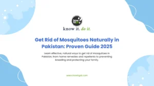 Get Rid of Mosquitoes Naturally